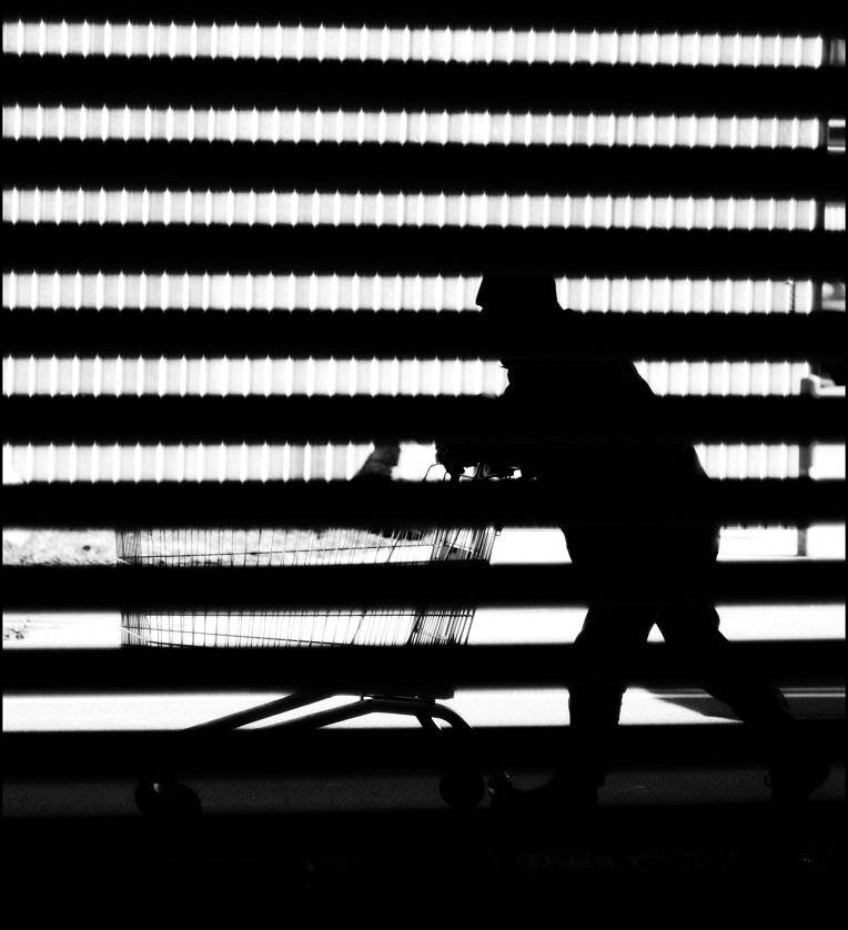 , Krzysztof Trojanowski