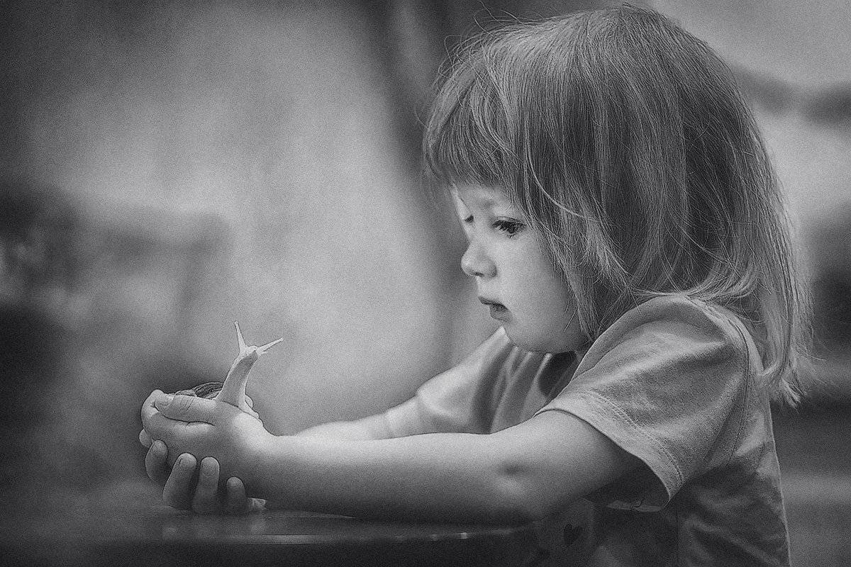 , Горшечников Сергей