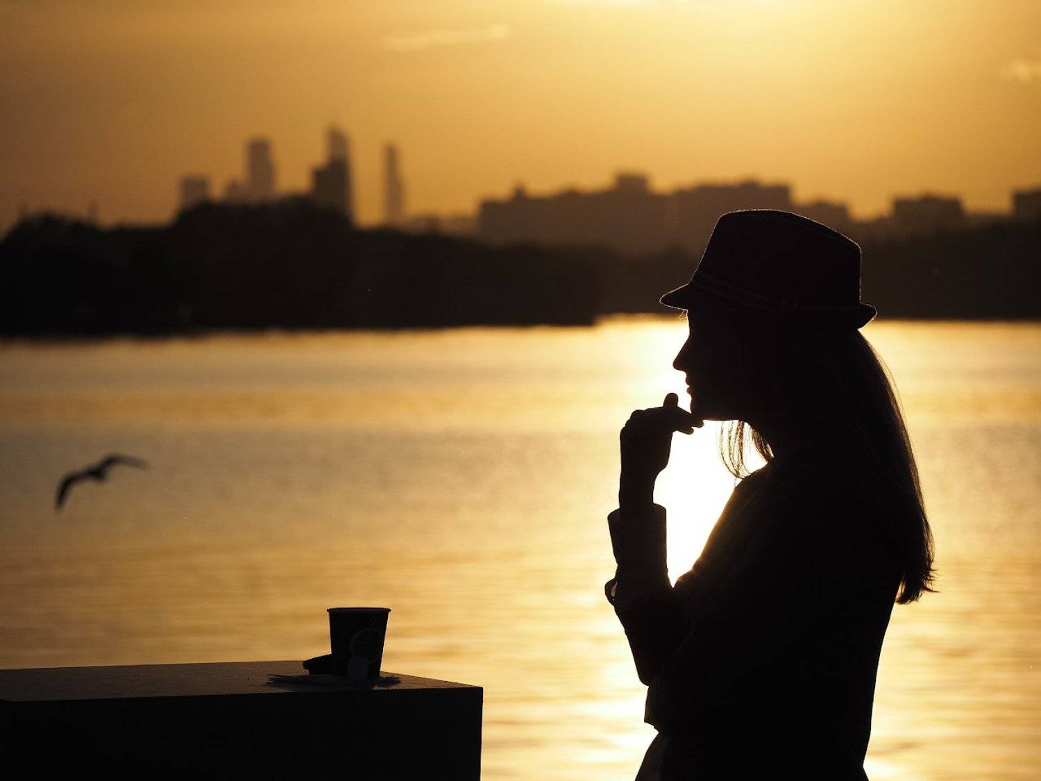 , Лунный Ежик