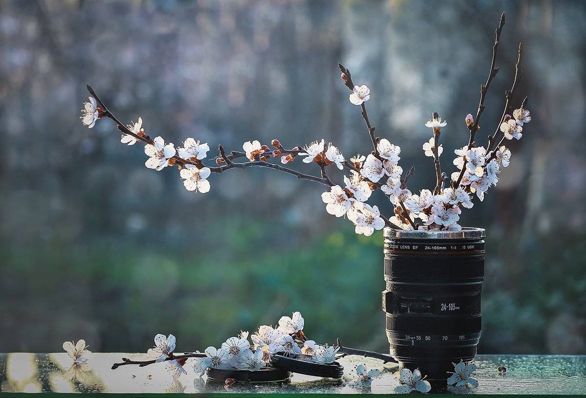 , Инна Сухова