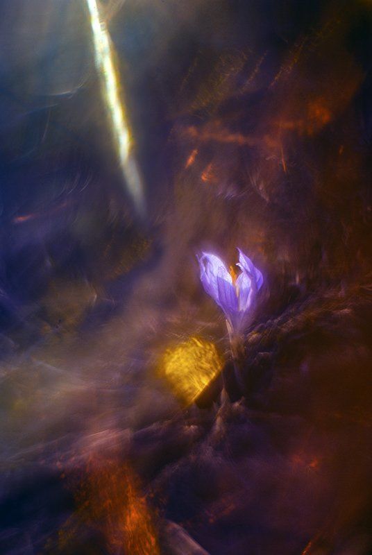 Озаренья Свет фото превью