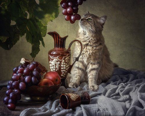 Масяня и виноград