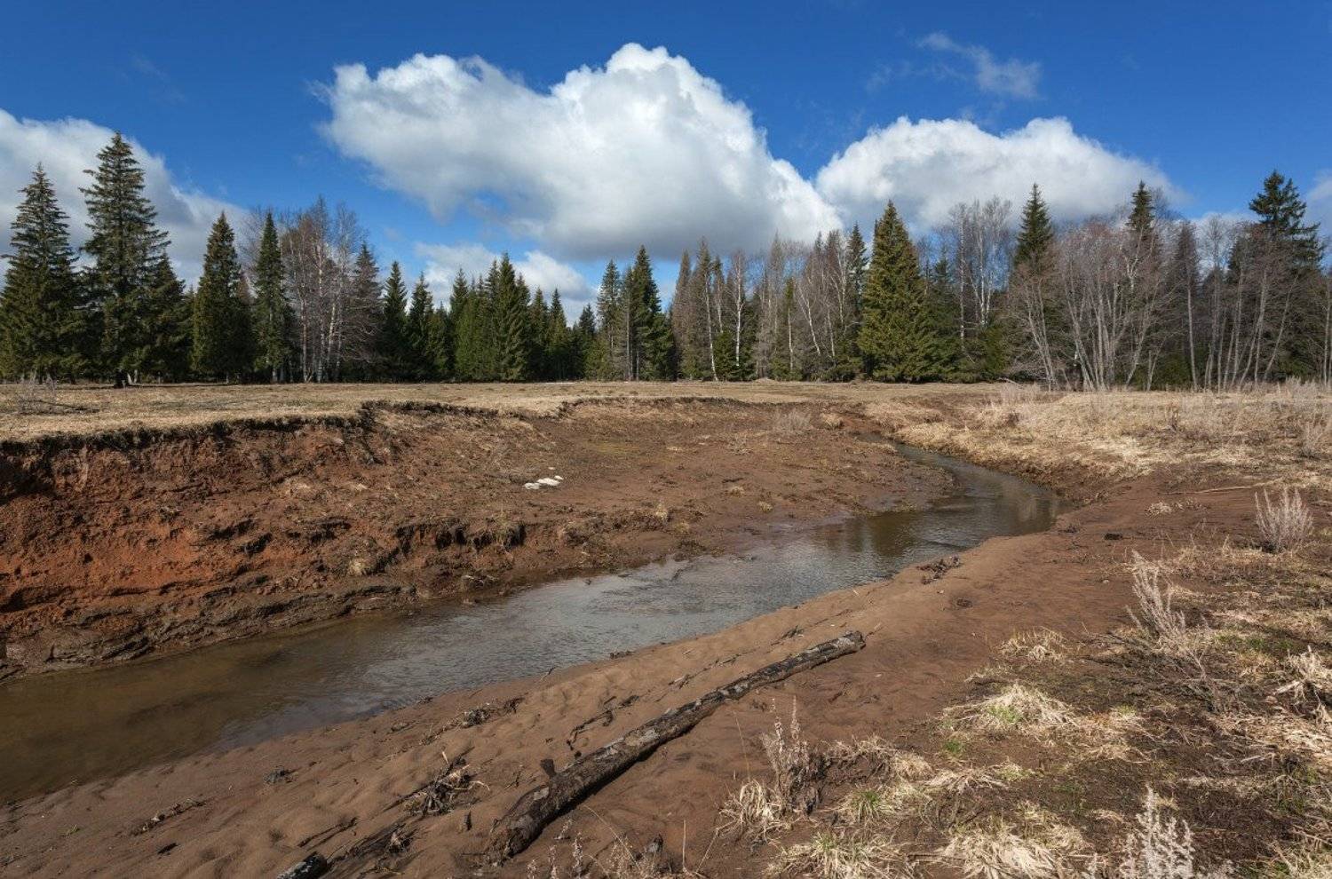 Речка весна лес облака небо, Георгий Машковцев