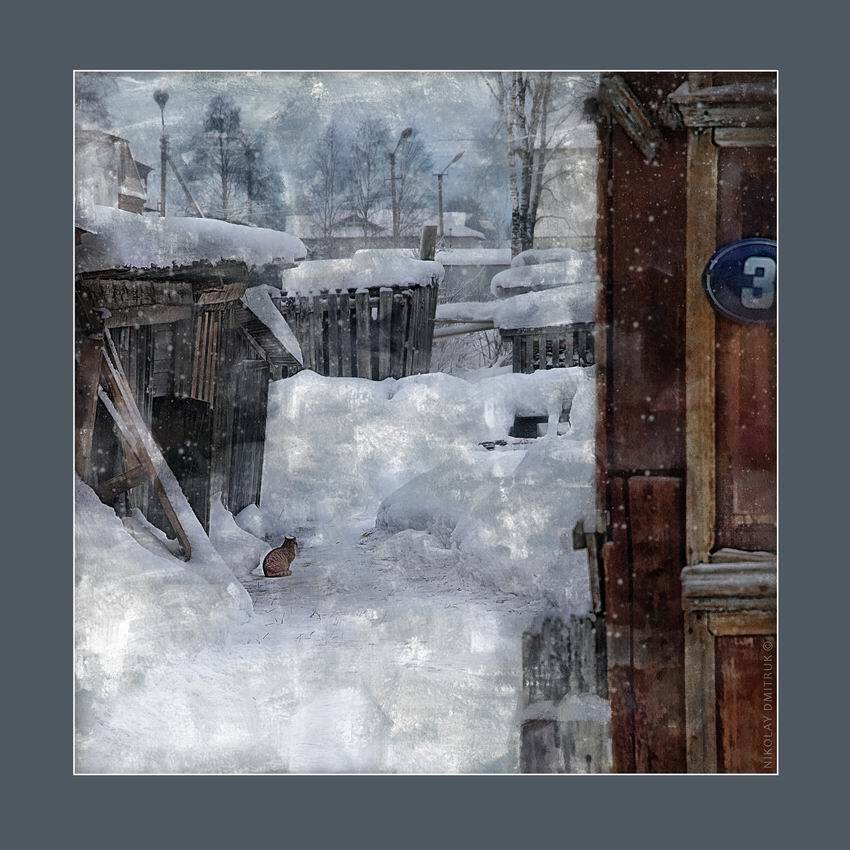 город музыка, николай дмитрук