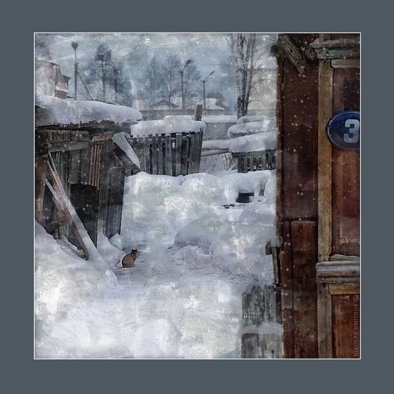 г. Каргополь. дом N3. рыжий кот фото превью