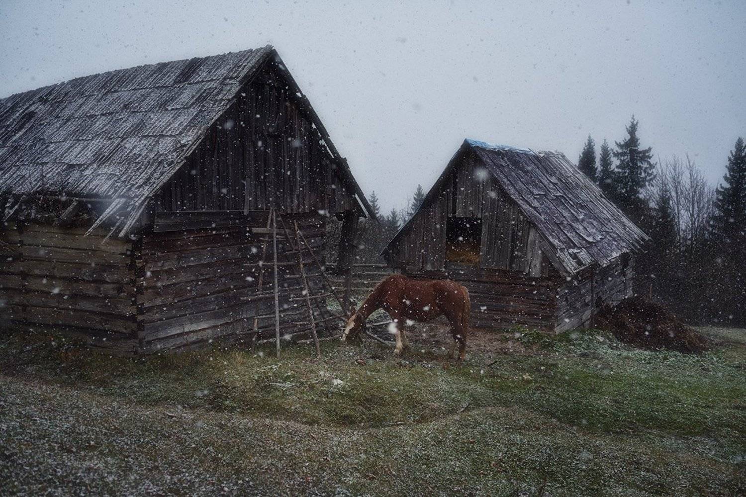 горы, хуторок, осень, лошадка, снег, Вьюшкин Игорь