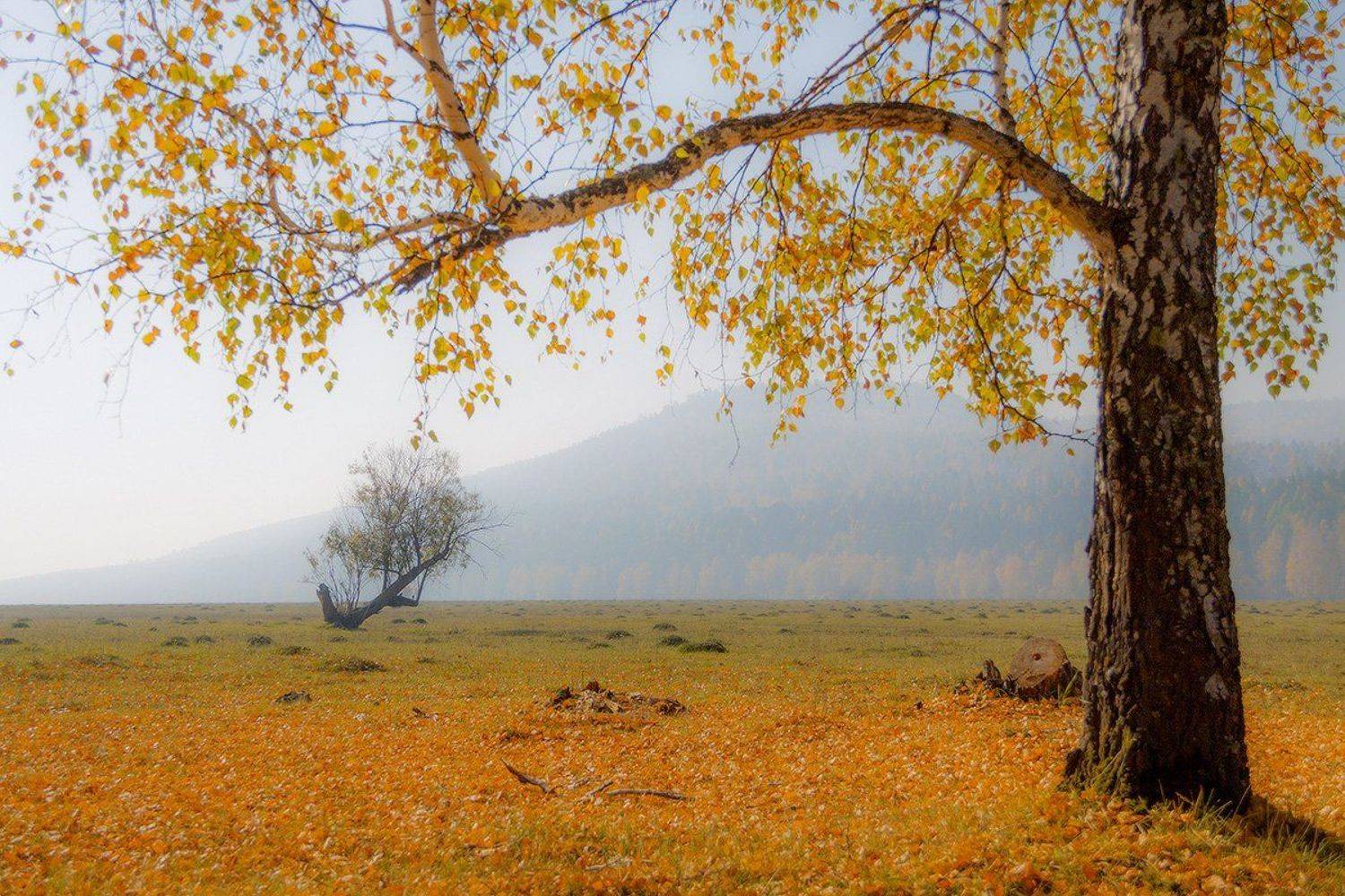 , Николай Морский