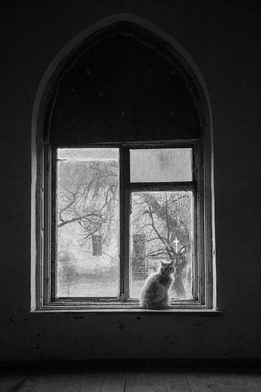 *** фото превью