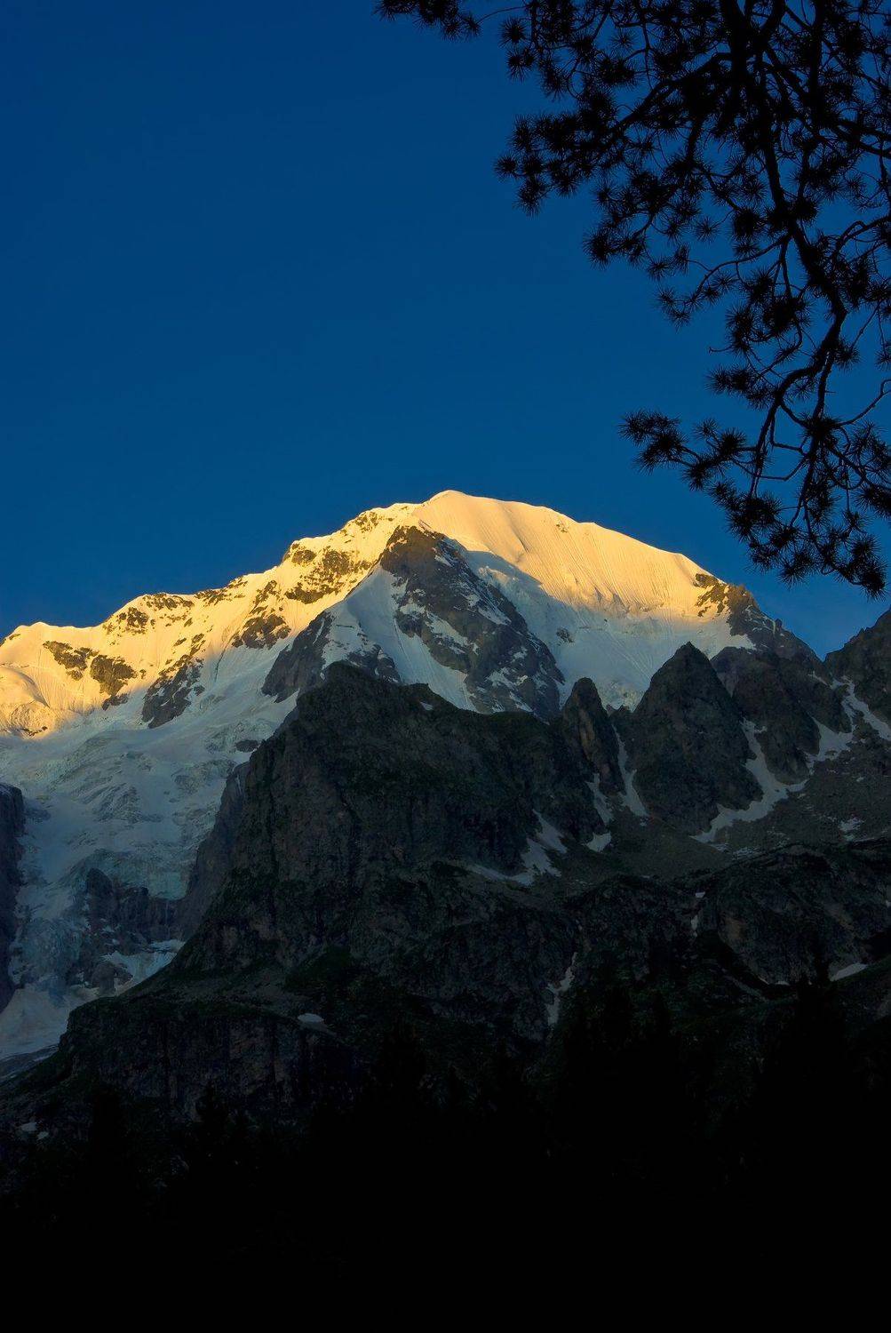 , Макс Рогозин