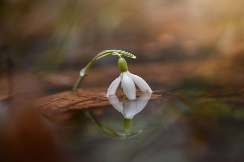 Посмотри на себя- ну на что ты похож? фото превью