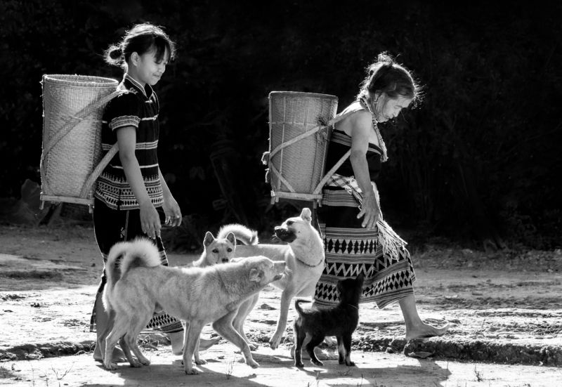 lifeUpland life Upland фото превью