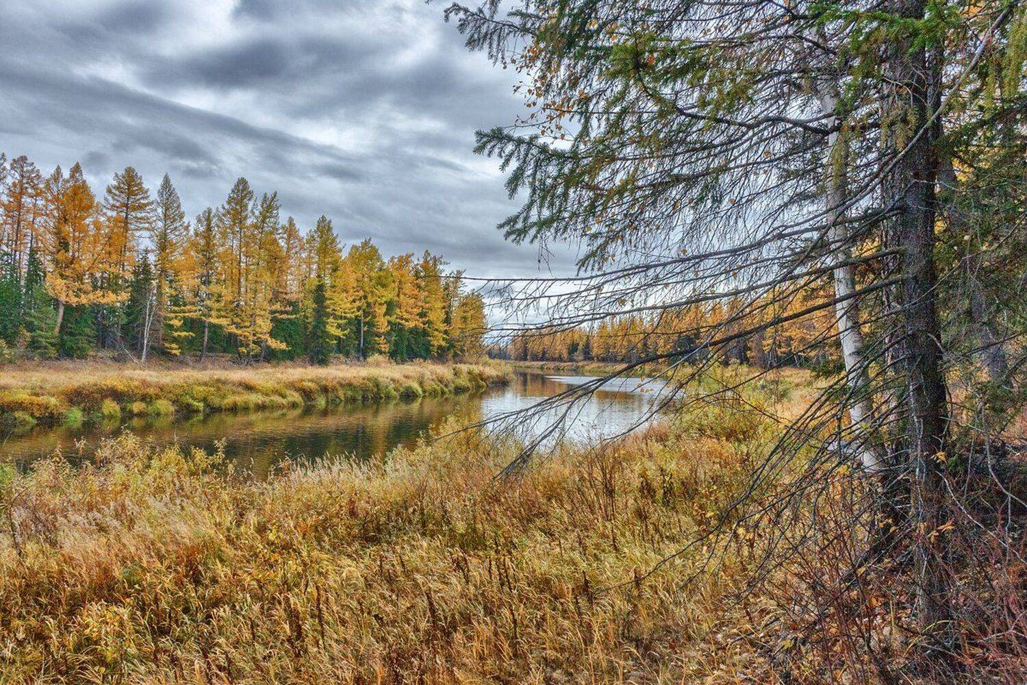 , Николай Андреев