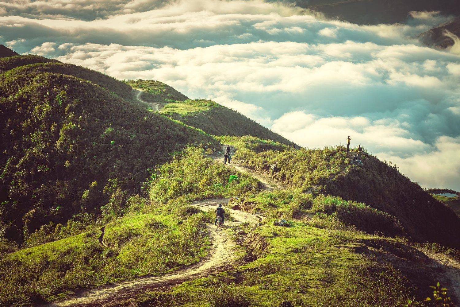 , Ho&agrave;ng Thuy&ecirc;n