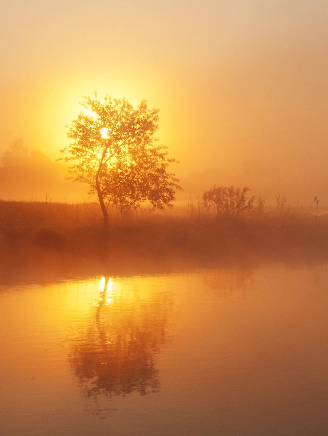 рассвет, туман, природа, Александр Гвоздь