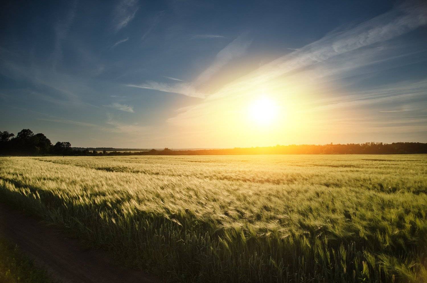 , Чурляев Максим