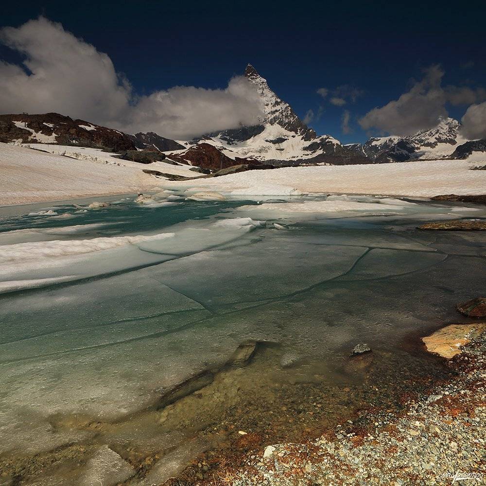 swiss, Матвеев Николай