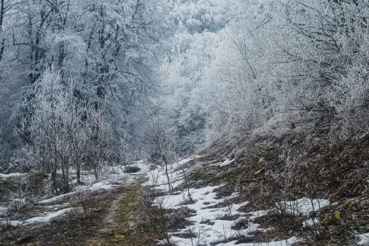 лес, горы, снег, никон, гелиос 44-2, Угрюмов Игорь