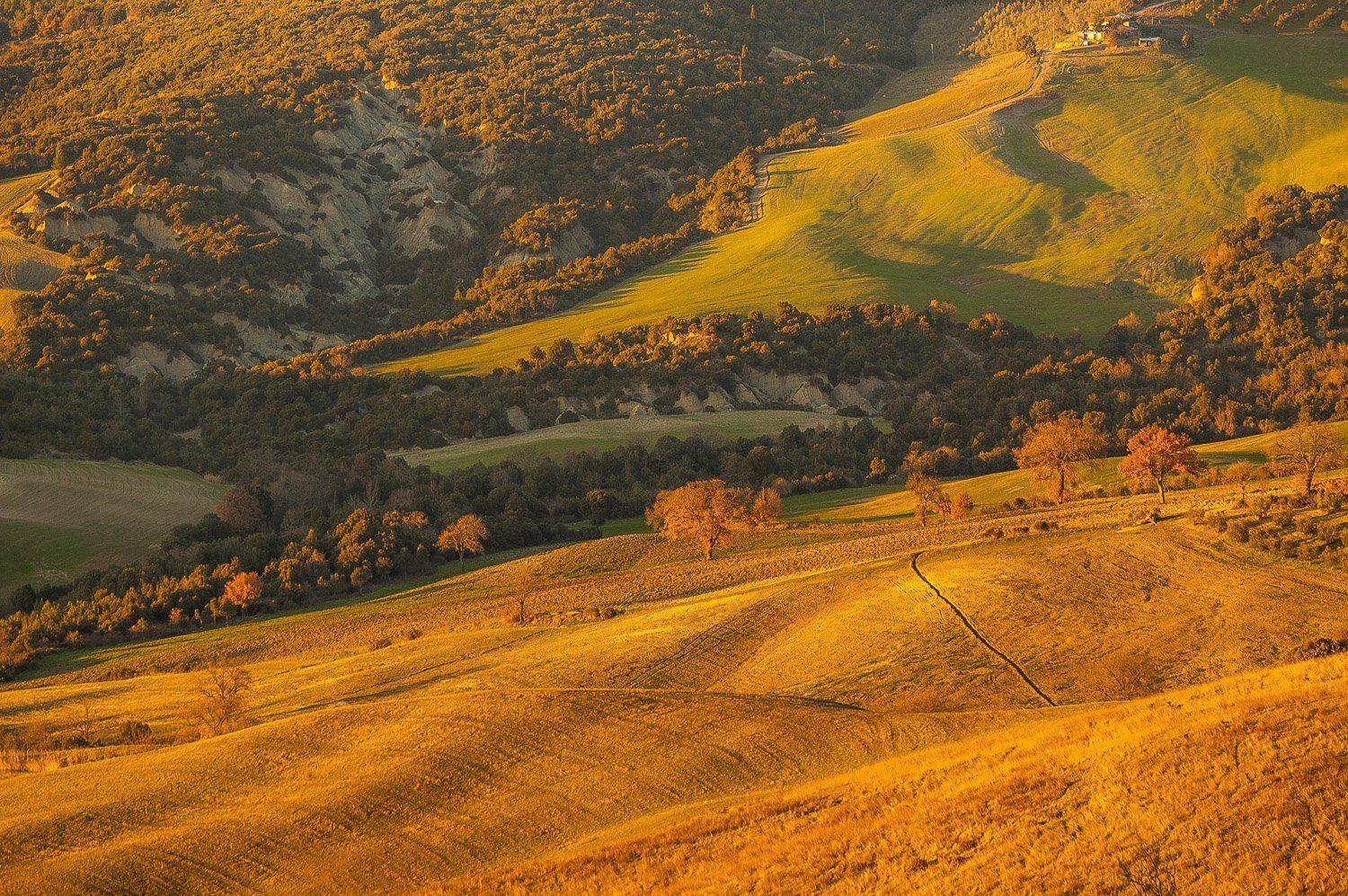 Тоскана Toscana, Исаков Дмитрий