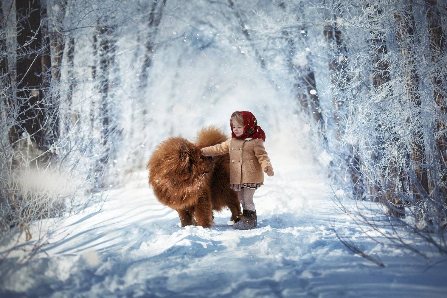 , Мытник Валерия