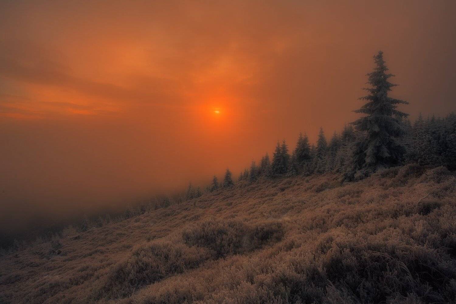 landscape,canon,winter,sunrise, Iza,Darek
