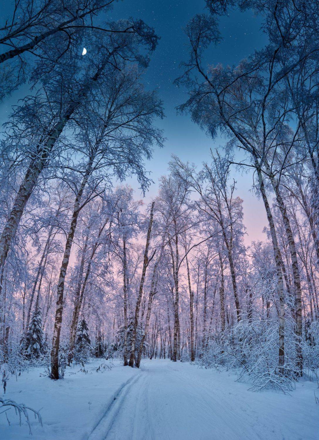 , Алексей Чистяков