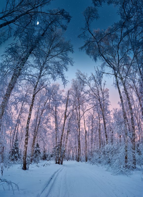 День-Вечер-Ночь фото превью