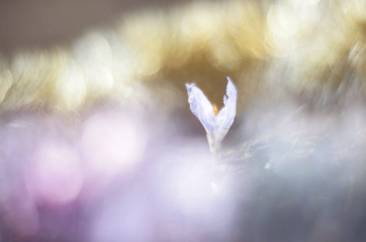 , Татьяна Аверина