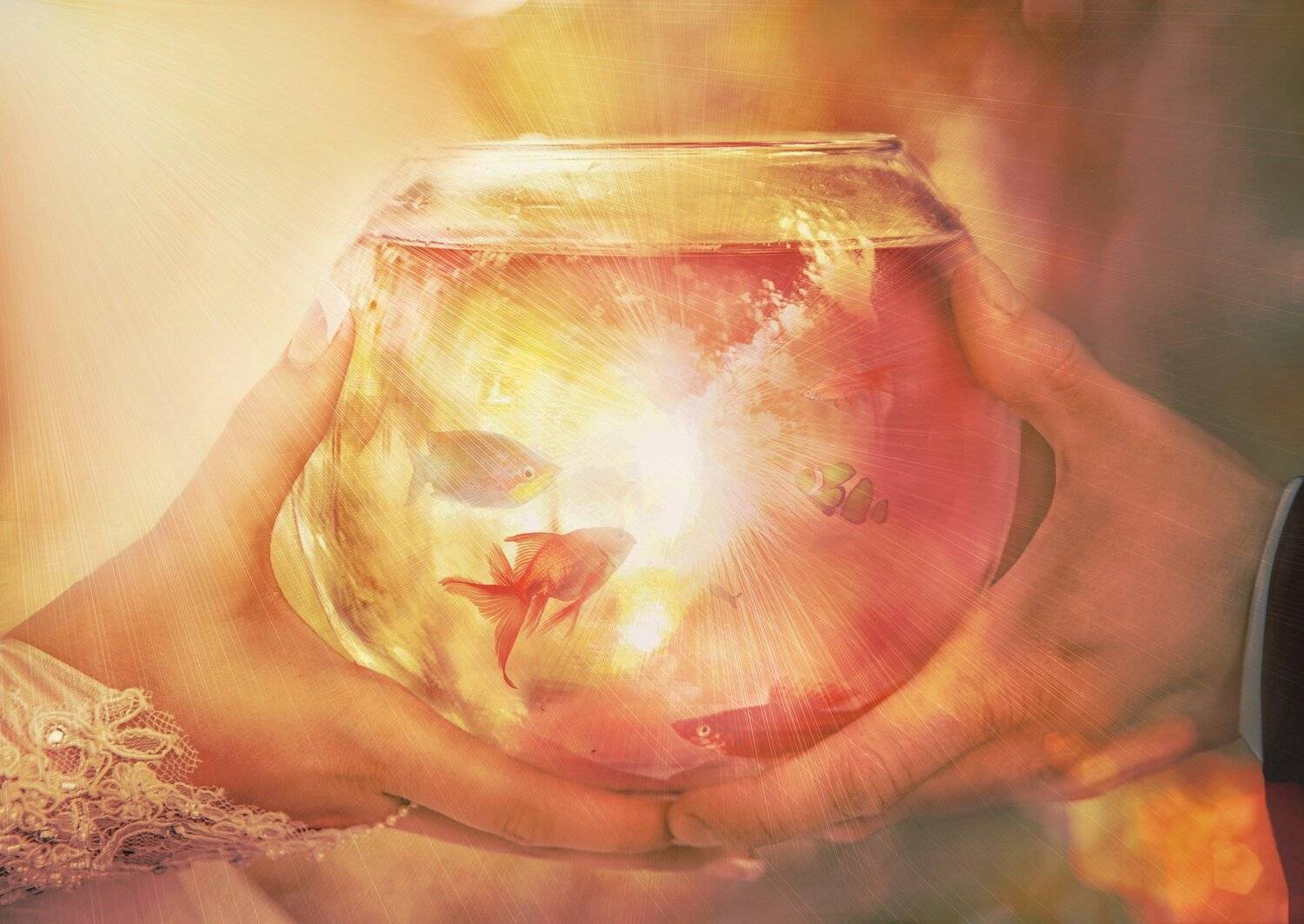 свадьба,семья,арт,фотосессия,аквариум, Мария Буданова