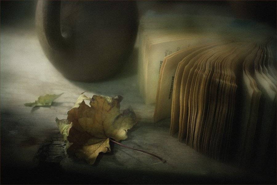 натюрморт, миг, осень, Александр Хромеев