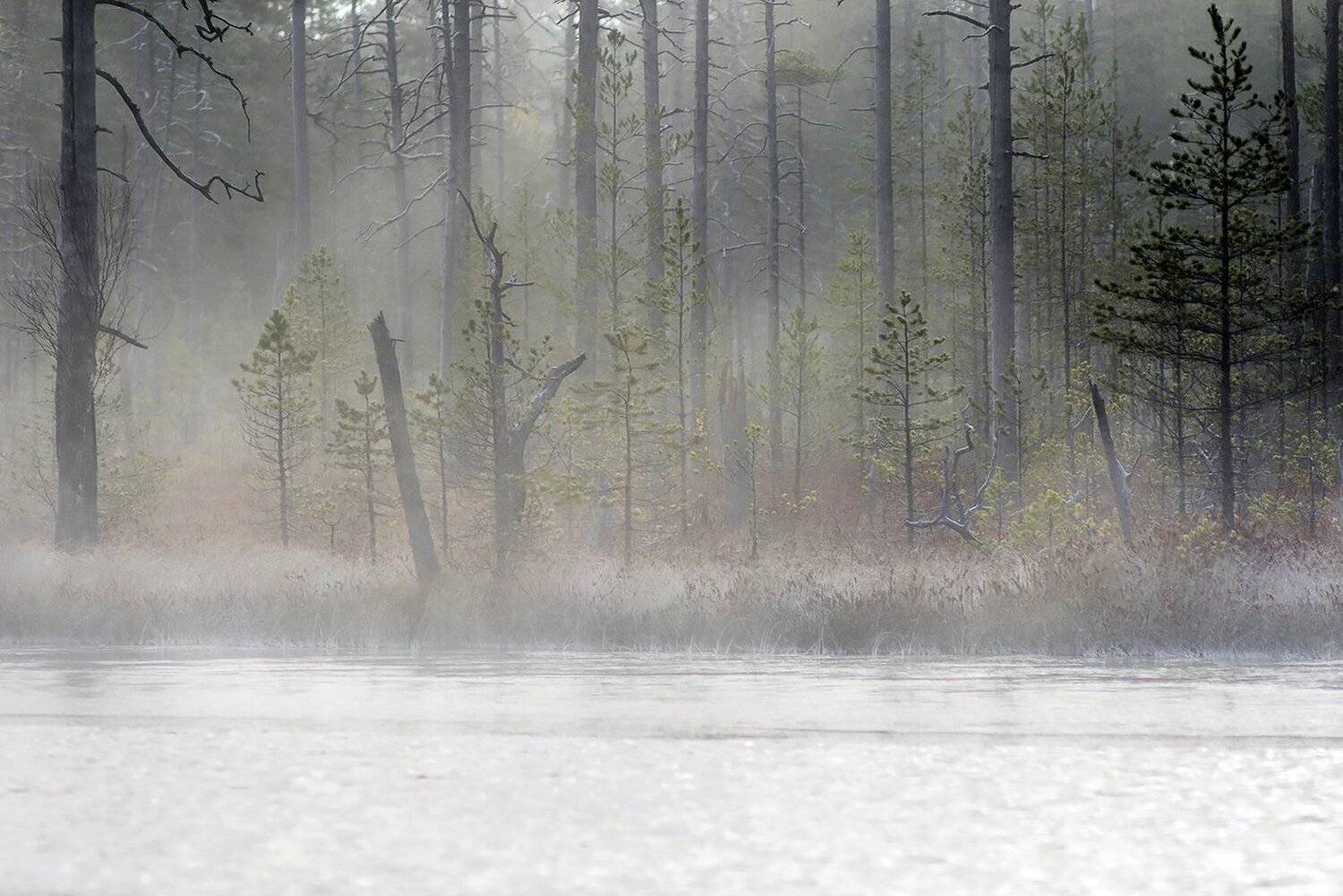 карелия, Виктор