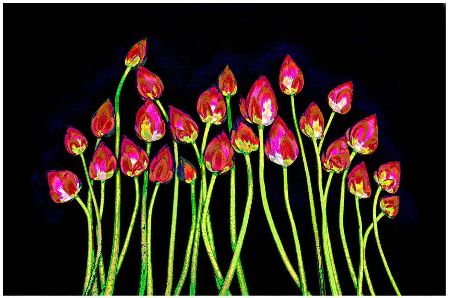 Lotus, CHOI  JEONG KYU