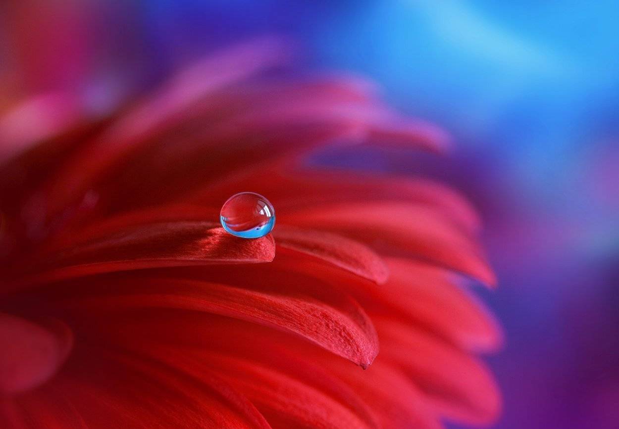 , Кабыжакова Валерия