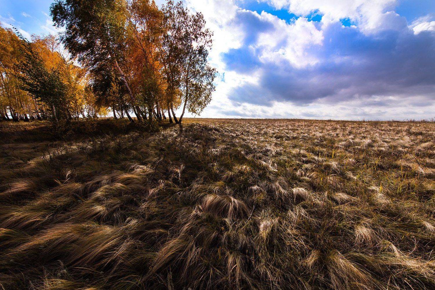 , Орлов Михаил