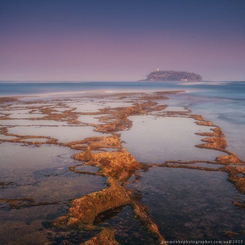 Шри Ланка . Коралловый риф у острова Barberun
