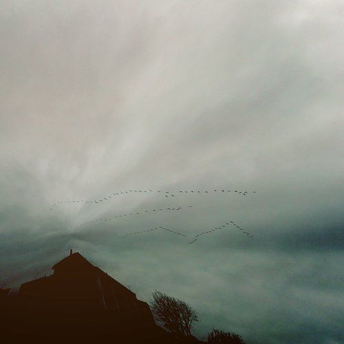 Return
