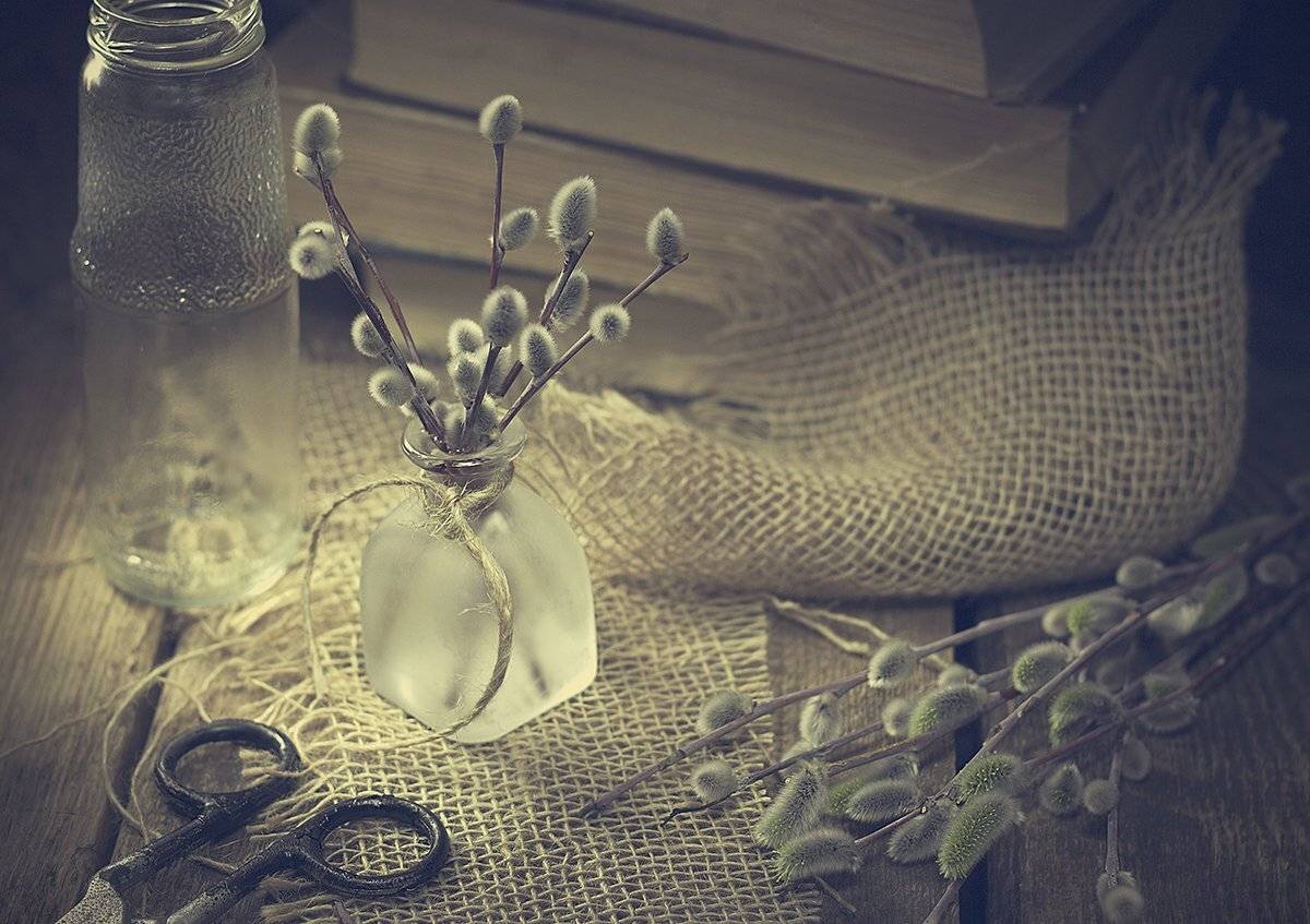 , Наталья Бочкарева