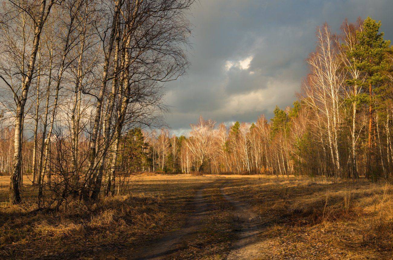 , Галанзовская Оксана