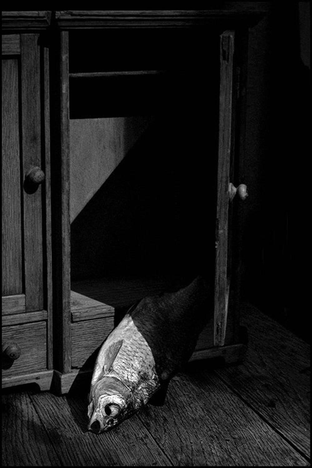 , Олег Вахник