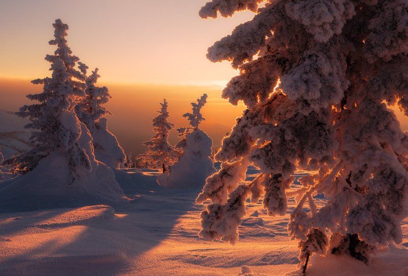 Знойное солнце зимы