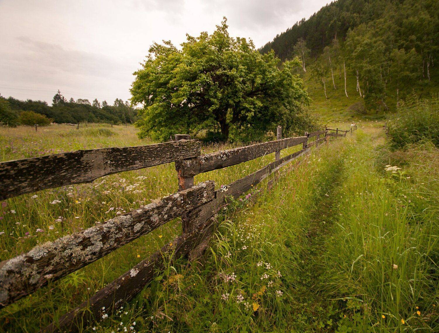 Россия, Байкал, деревня, природа, Матвеев Евгений