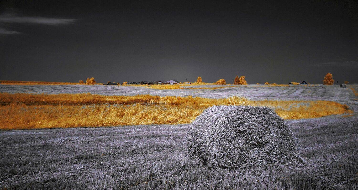infrared,ик-фото,инфракрасное фото,инфракрасная фотография,пейзаж,природа,беларусь,лето, Sixten ( Сергей )