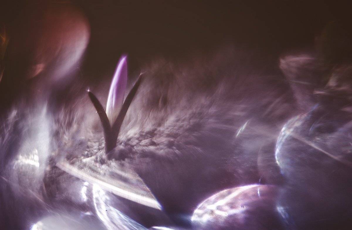 , Татьяна Аверина