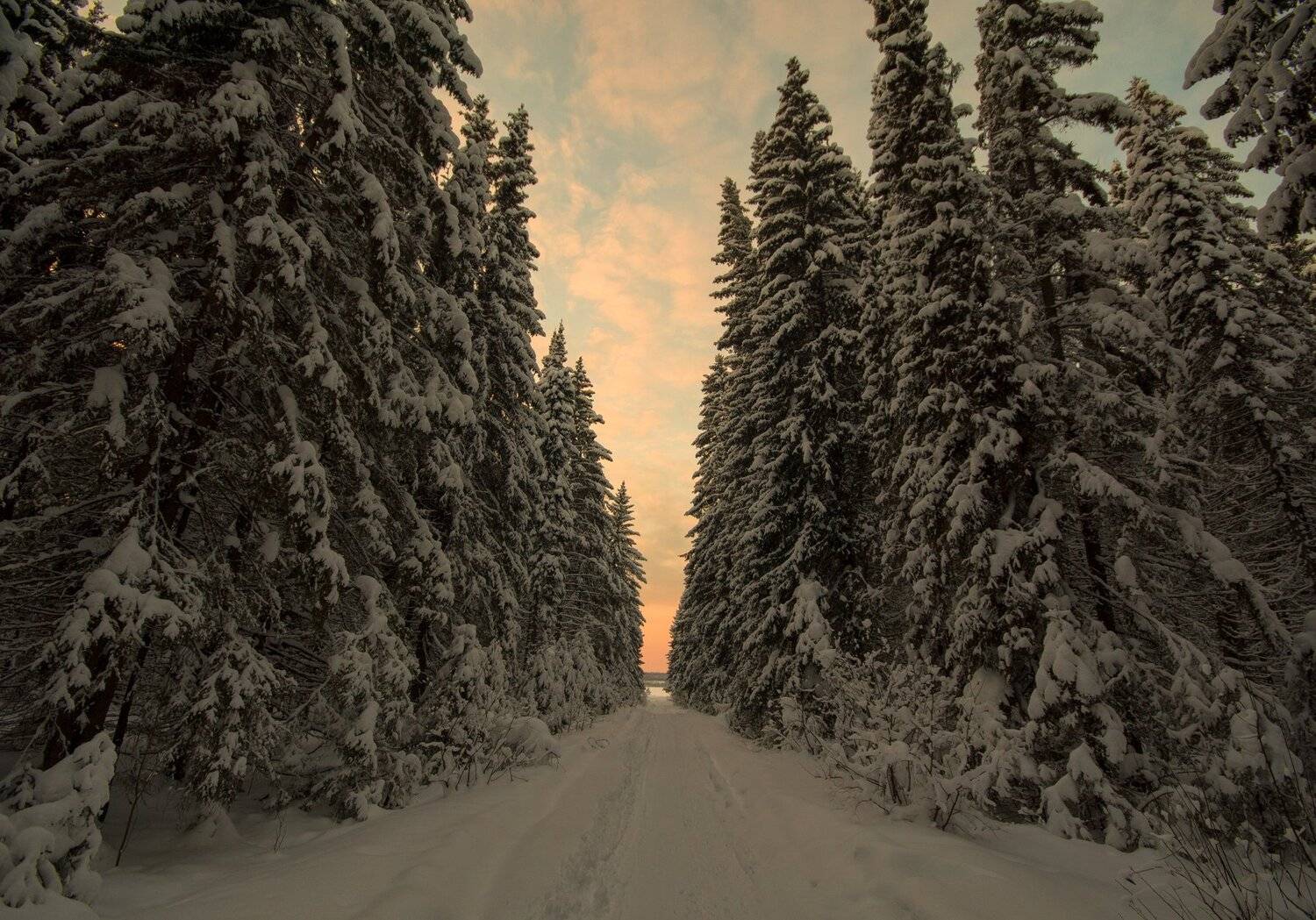 закат,зима,лес, Карепанов Евгений