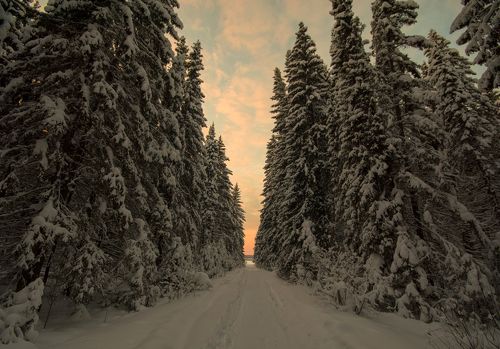 Зимний закат