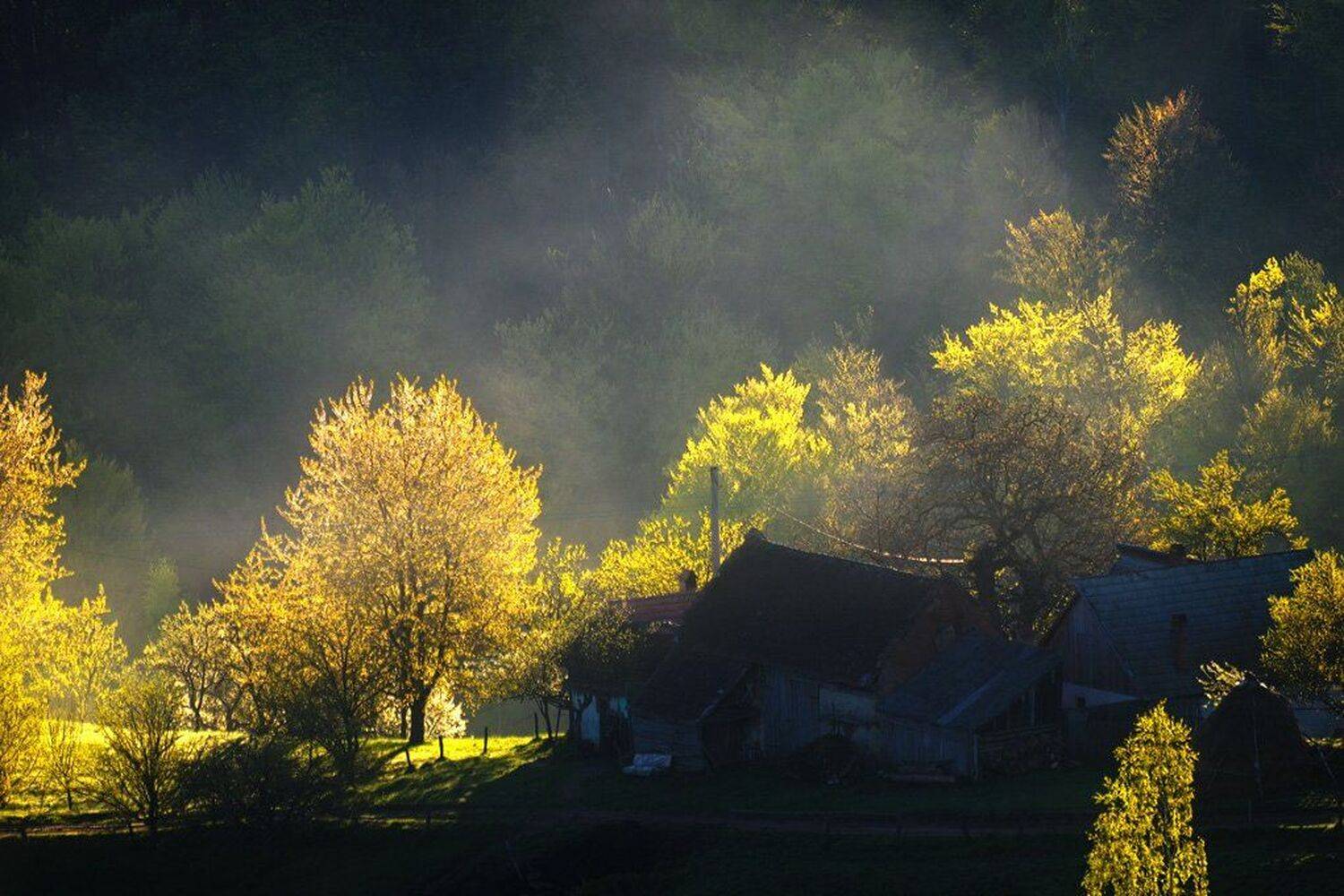 , Stefan Chirobocea