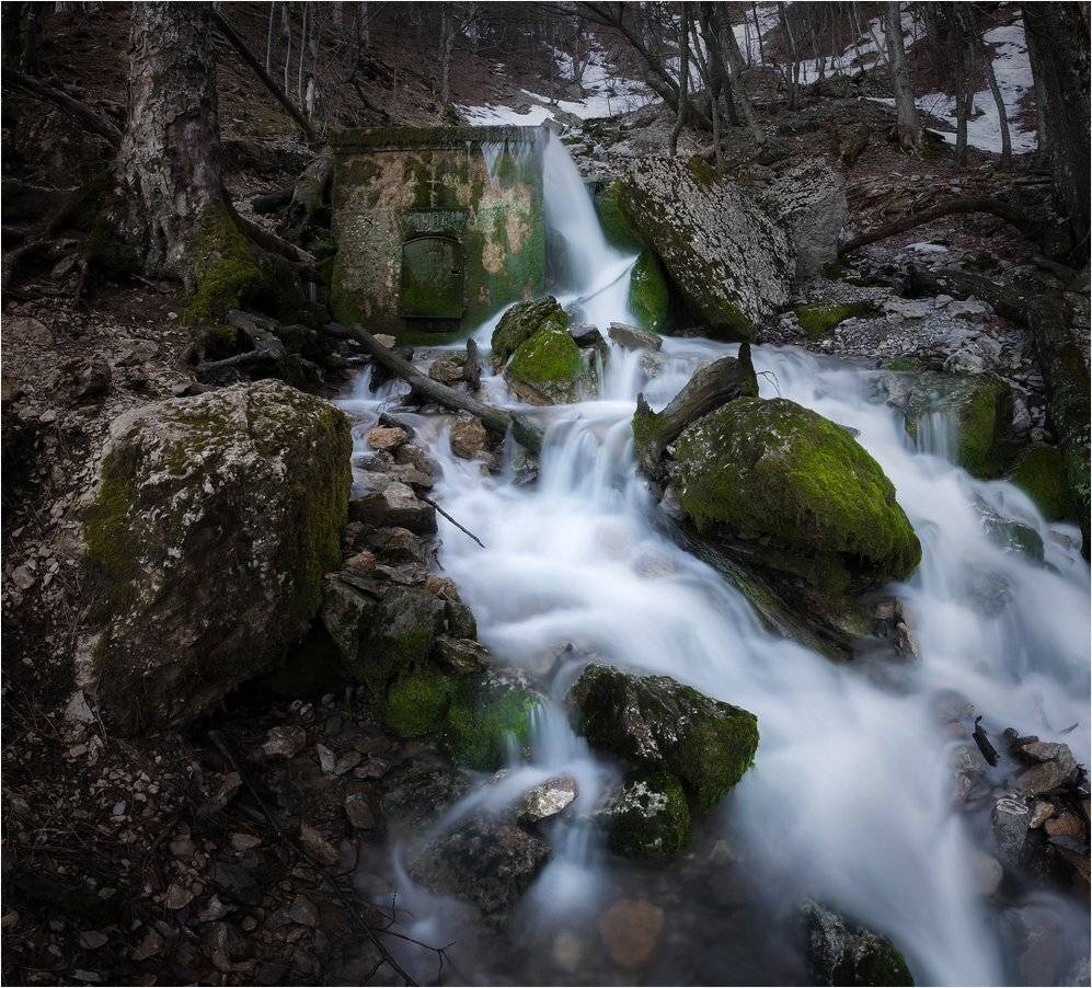 , Михаил Гапонов