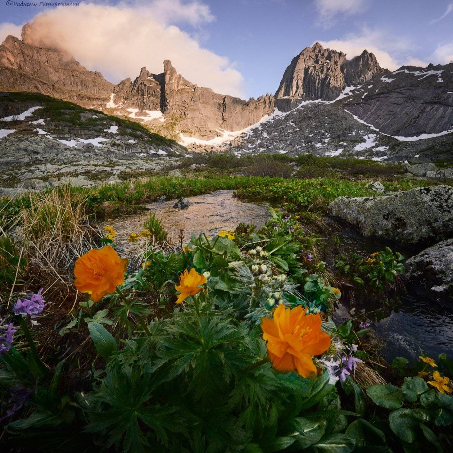 красноярский край, западные саяны, национальный парк  ергаки, перевал, горы, птица, цветы, жарки, ручей., Рафаэль Гатиятуллин