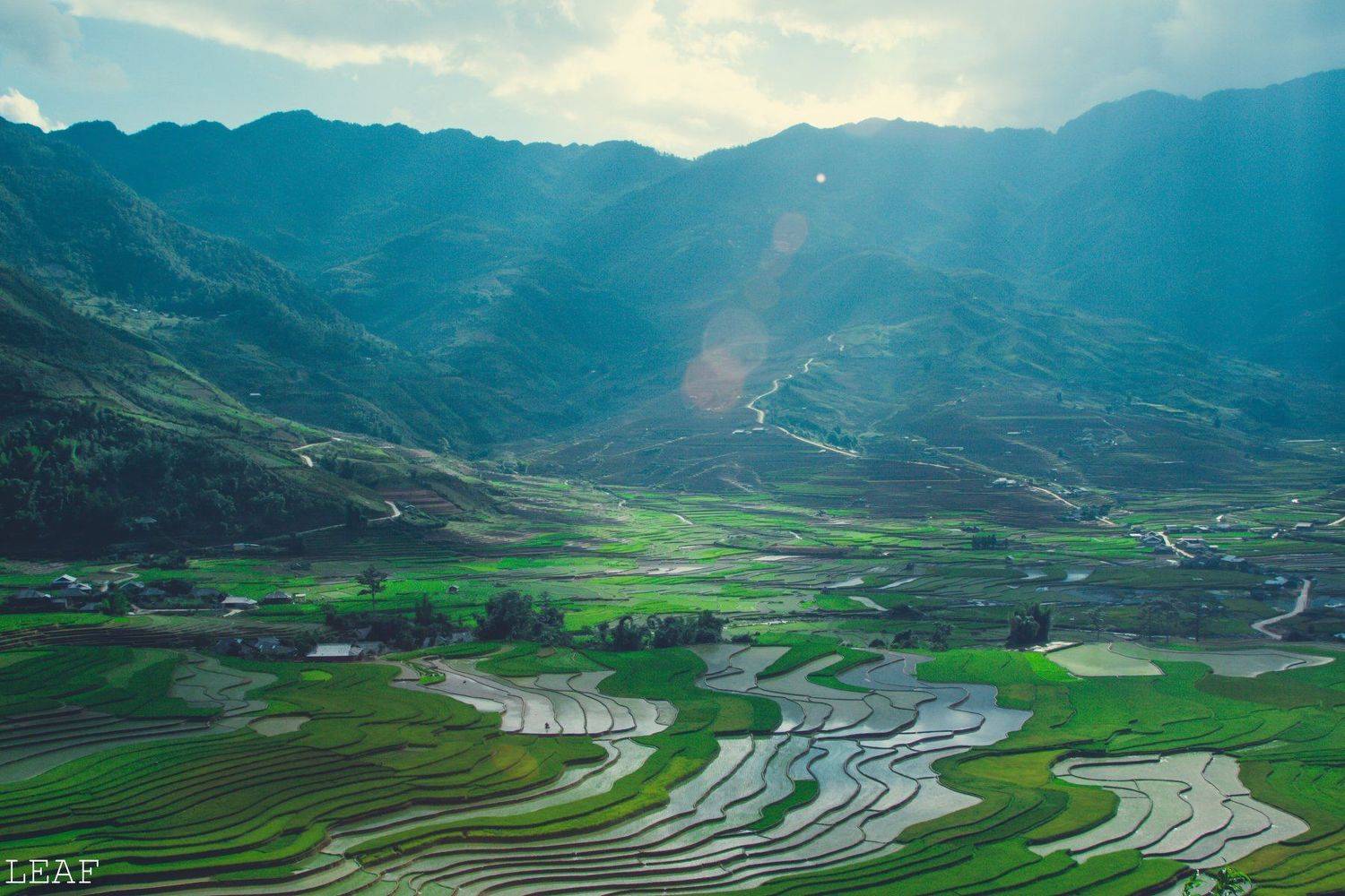 , Ho&agrave;ng Thuy&ecirc;n