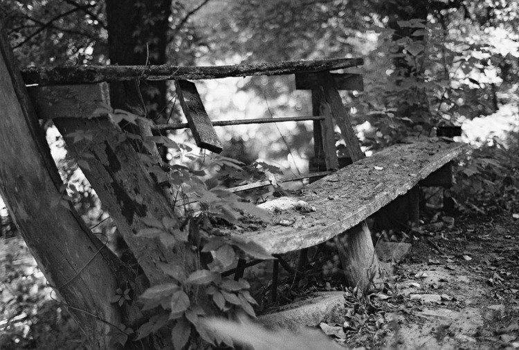 , Олег Вахник