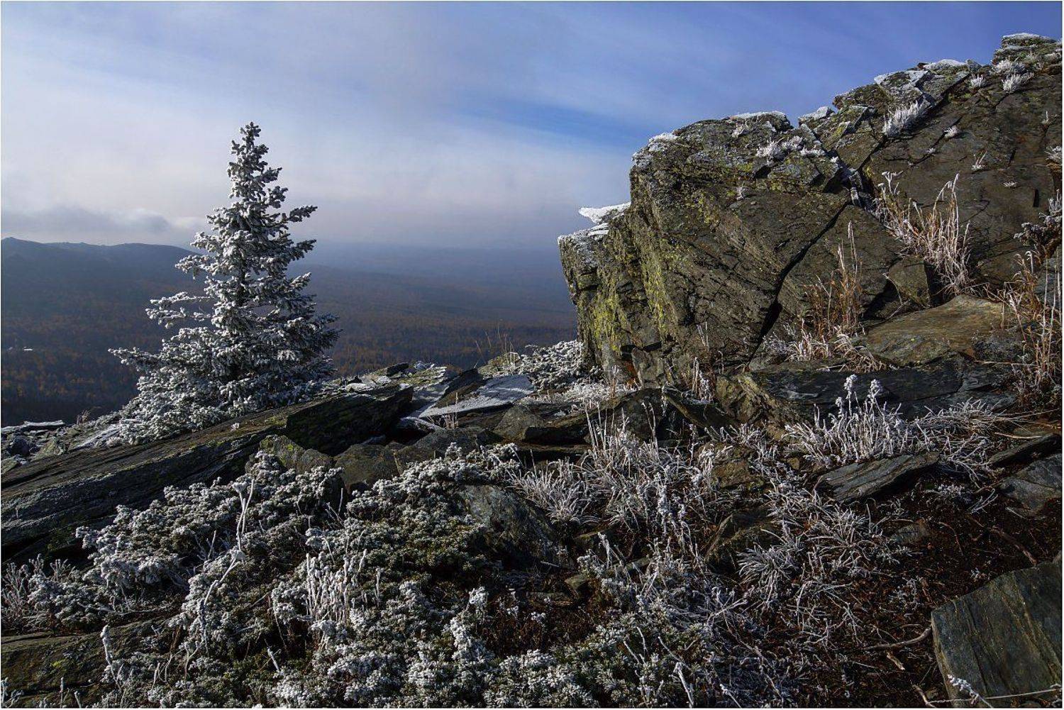 хребет,камни,ель, Кондратьев Алексей